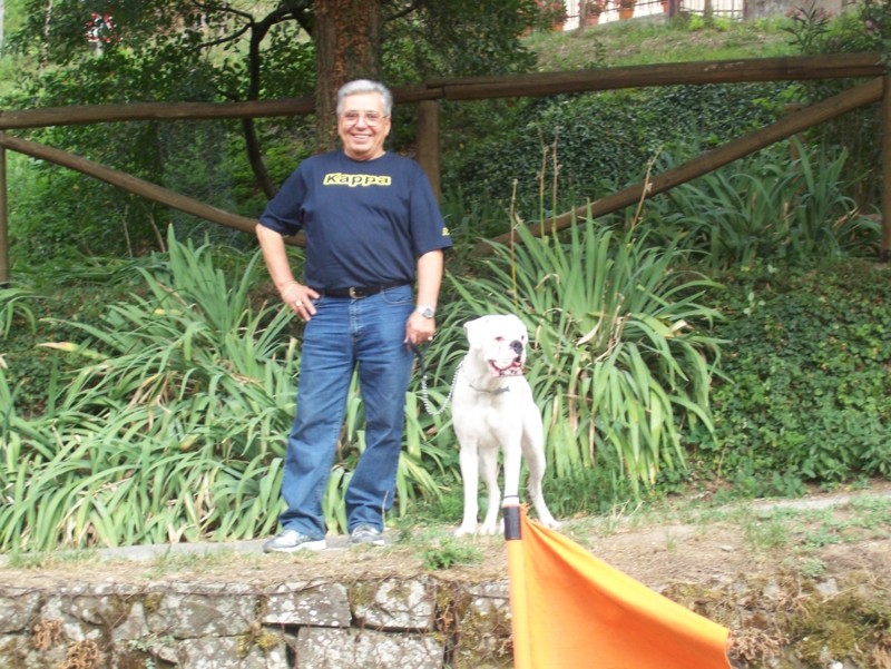  Image name: Calcio50.jpg 
 width: 800 pixel 
 height: 601 pixel 
 Size: 487163 bytes 
 Click to enlarge 